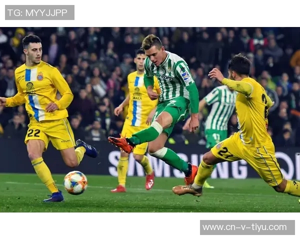 全面解析足球网址大全助你轻松获取最新赛事资讯与精彩瞬间